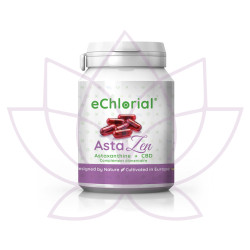 AstaZen: Astaxantina + CBD (30 capsule)
